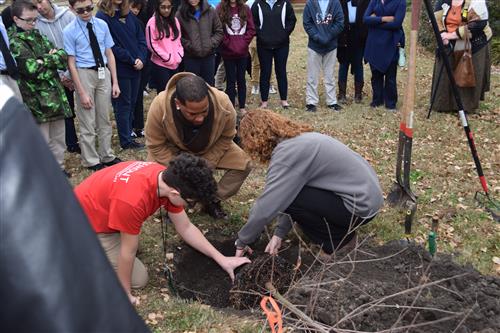 NBG planting tree NBG planting tree