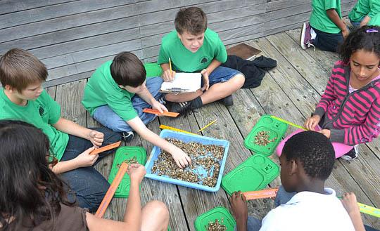 Science Education